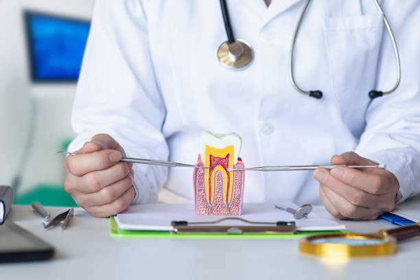 Best Emergency Dental Services for Seniors in Brandermill, VA